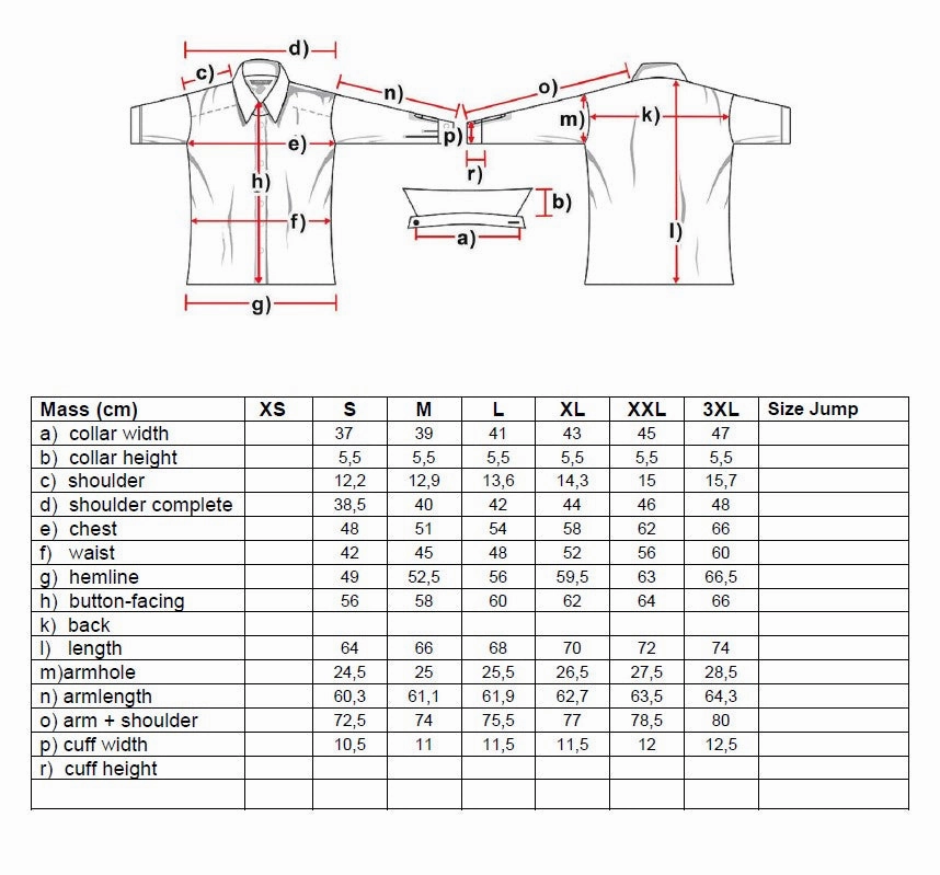 Amelie Ladies Western Blouse