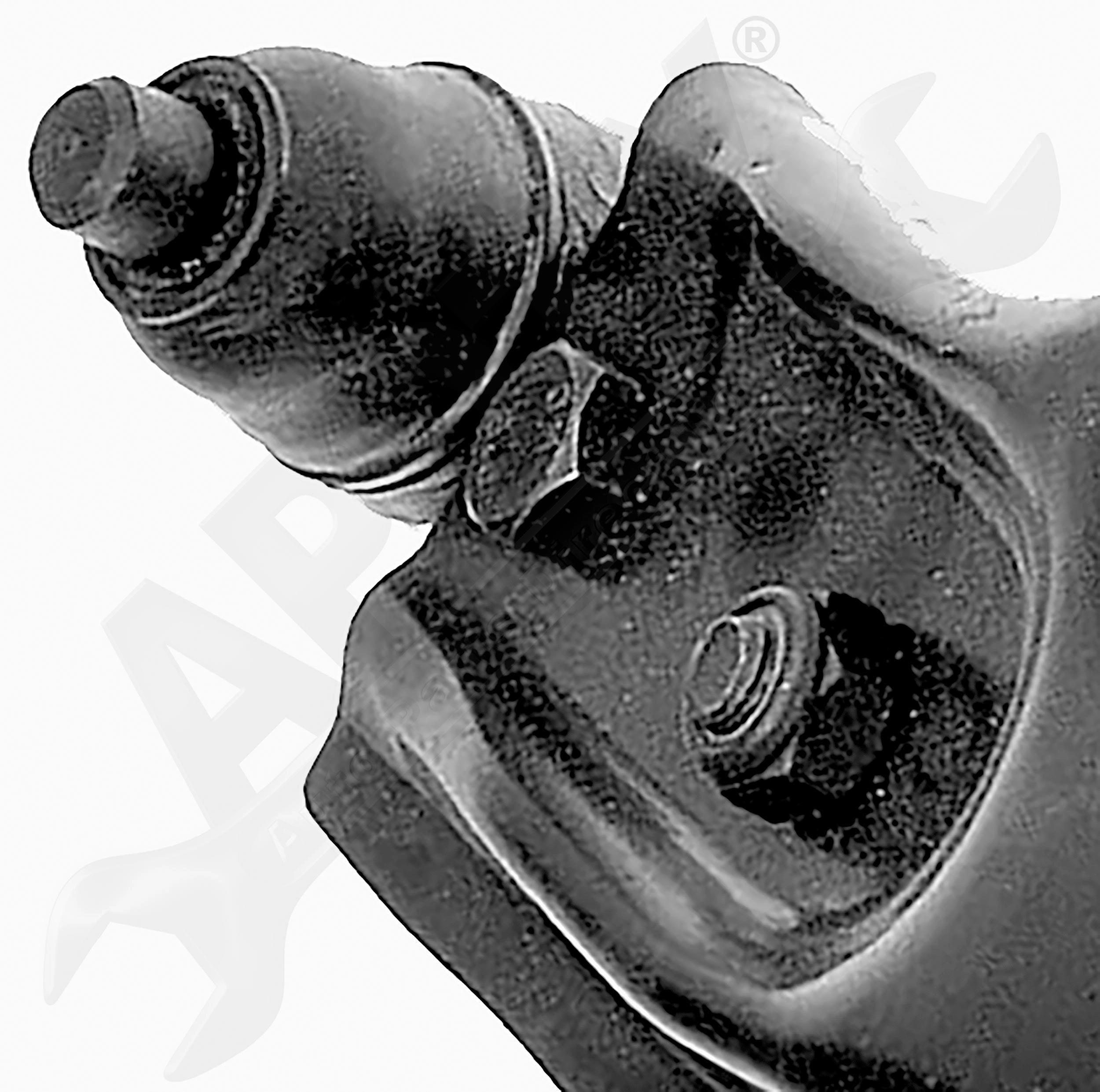APDTY 154276 Control Arm Replaces B45534550, BTAA3446X