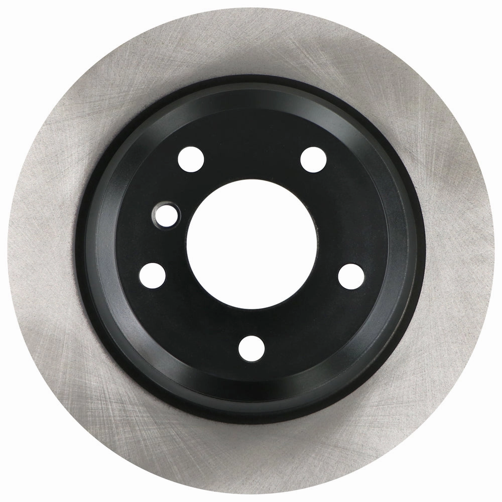 C30170 Pro Series OE  Brake Rotor - Rear