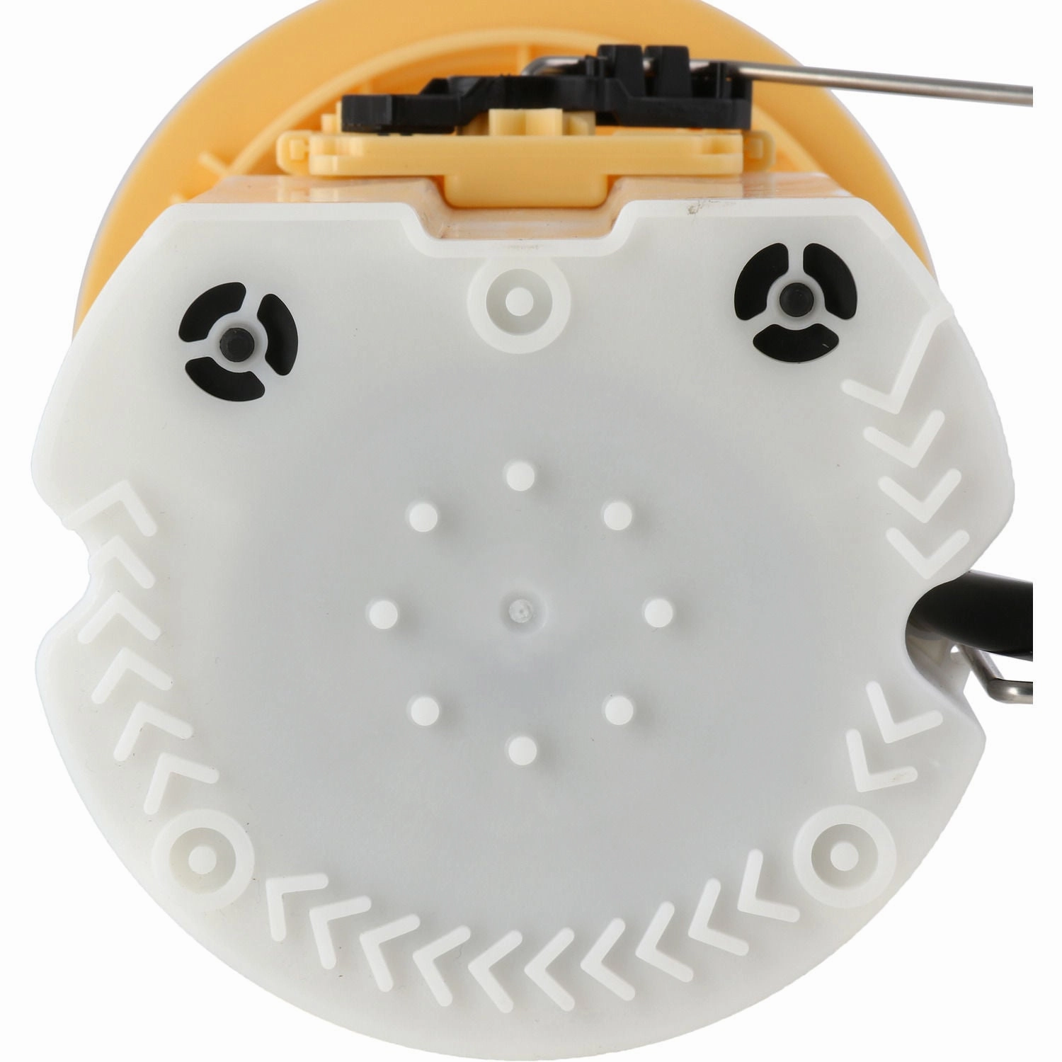 P77245M Carter Fuel Pump Module Assembly